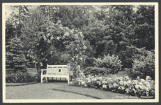 17690 Gezicht in het rosarium van het huis Doorn (Langbroekerweg 10) te Doorn.